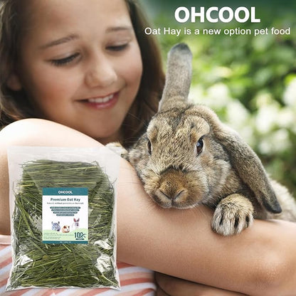 Premium Oat Hay for Pets - Dust Free Natural Green Fresh Pet Food Hay for Rabbits, Guinea Pigs, Chinchillas, Hamsters &amp; Gerbils - 2.2lbs