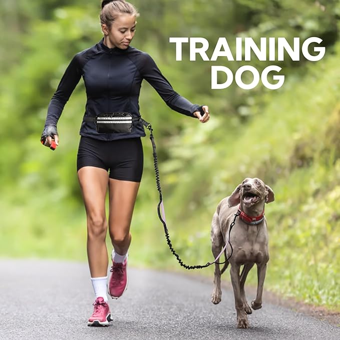 Hands Free Dog Leash, Shcok Abosoring Bungee with Double Padded Handles, Waist Leash for Dog Walking, Dog Leash with Bungee for Medium &amp; Large Dog, Dog Walking Accessories, Black Purple