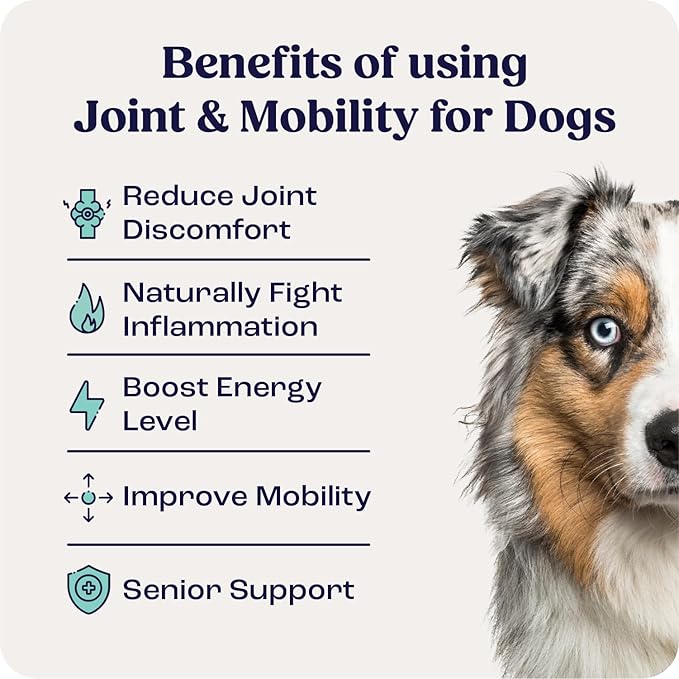 Summit Canine Joint and Mobility Supplement for Medium Dogs, All Natural Liquid Chondroitin, Liposomal Delivery for Arthritis, Hip &amp; Joint Support Vitamin, (Dogs, 25-75lbs)