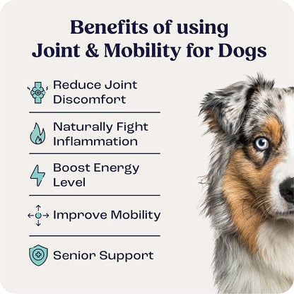 Summit Canine Joint and Mobility Supplement for Medium Dogs, All Natural Liquid Chondroitin, Liposomal Delivery for Arthritis, Hip &amp; Joint Support Vitamin, (Dogs, 25-75lbs)
