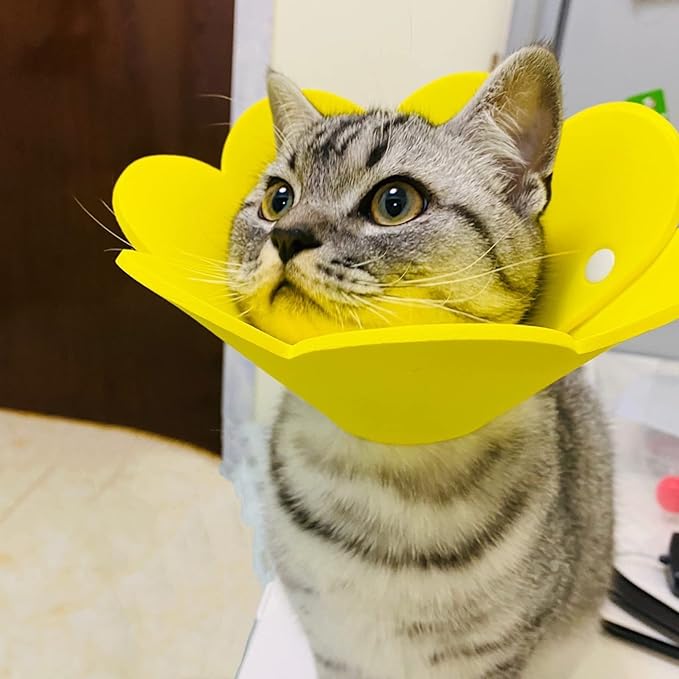 3-Pack Cat Recovery Collar - Sunflower Neck Cone, Anti-Licking, Prevents Biting &amp; Scratching (Pink, Orange, Yellow) (M)