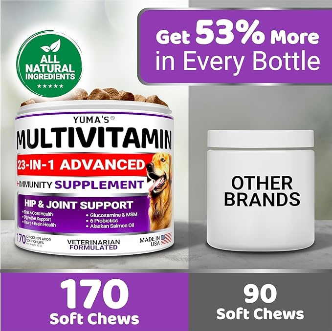 2-Pack Dog Multivitamin Chewable with Glucosamine - Dog Vitamins and Supplements - Senior &amp; Puppy Multivitamin for Dogs - Hip &amp; Joint Support - Immune Health, Skin, Heart, Digestion, Probiotics