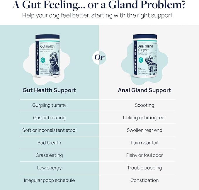 Veterinary Formula Anal Gland Support for Dogs – Vet-Formulated No Scoot Chews with Pumpkin, Ginger, Agave Inulin &amp; Probiotics – Supports Scooting, Stool Quality &amp; Digestive Health, 60 Soft Chews