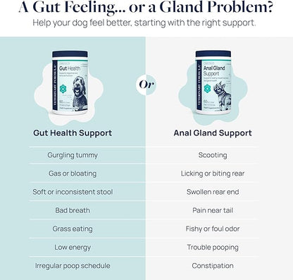 Veterinary Formula Gut Health Supplement for Dogs – Vet-Formulated Probiotic Chews with Digestive Enzymes &amp; Fiber – Smart Vitality Supports Digestive Health, Gut Balance &amp; Stool Quality, 60 Soft Chews