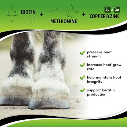 SynoStride All Natural, All-in-one, Joint and Hoof Health Supplement for Horses, Powder with Glucosamine, Chondroitin, Hyaluronic Acid, Biotin, Methionine, Trace Minerals (1080 Grams) x2