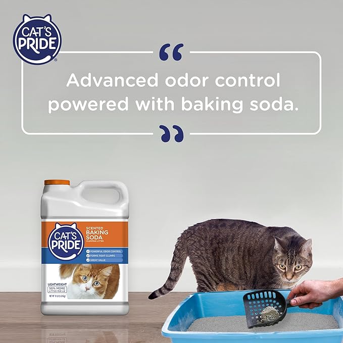 Cat&