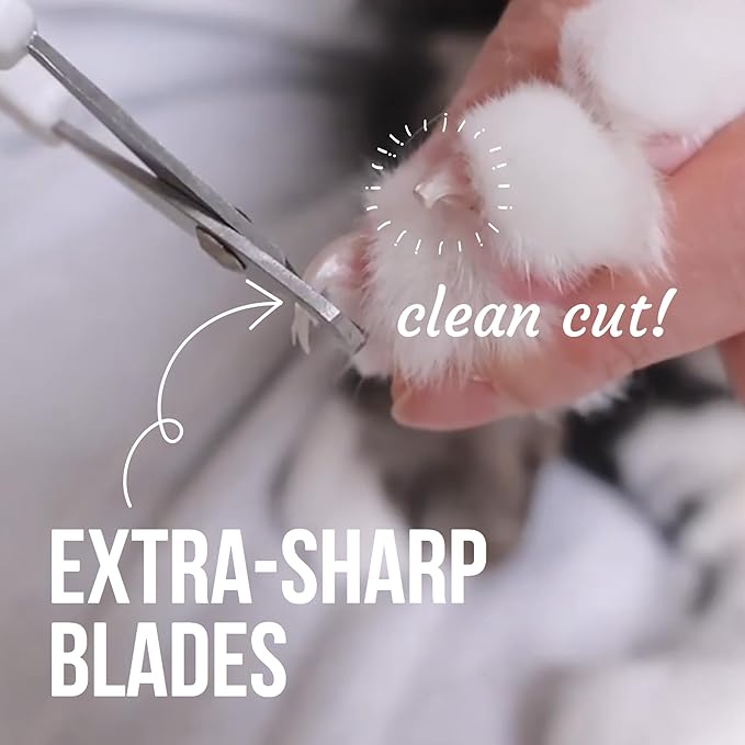 Cat Nail Clipper - Extra Sharp &amp; Thin Blades for Indoor Cats, Small Dogs and Any Small Pets - Expertly Crafted in Korea
