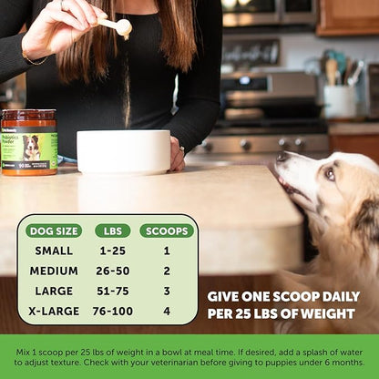 All-Natural Probiotic &amp; Pumpkin Powder Dog Supplement - Prebiotics, Probiotics, Enzymes &amp; Antioxidants for Healthy Gut Flora, Digestion &amp; Immunity (90 Scoops)
