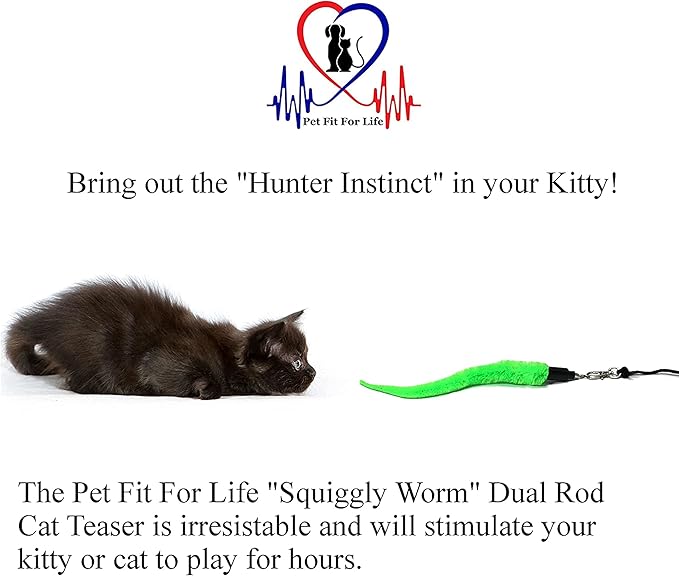 Pet Fit For Life Cat Wand Toy: 5-Piece Worm Teaser &amp; Exerciser - Durable Flirt Pole/Cat Teaser Toy – Interactive Fun for Feline Fitness