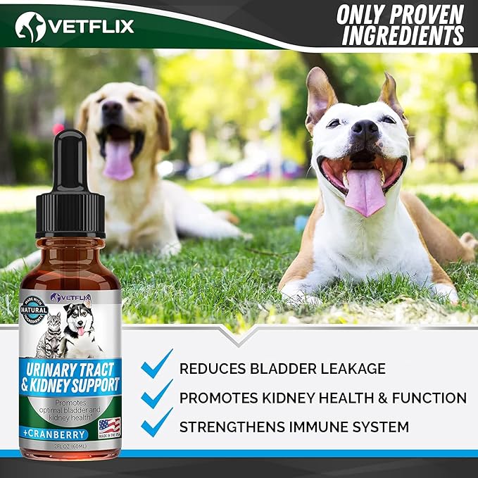 Cranberry Dog &amp; Cat UTI Treatment - Best UTI for Pets - Made in USA - Dog &amp; Cat Kidney Support - Cat Bladder Drops - Pet Immune Health Supplement - Marshmallow, Dandelion Root, Pumpkin Seed - 2 Fl Oz