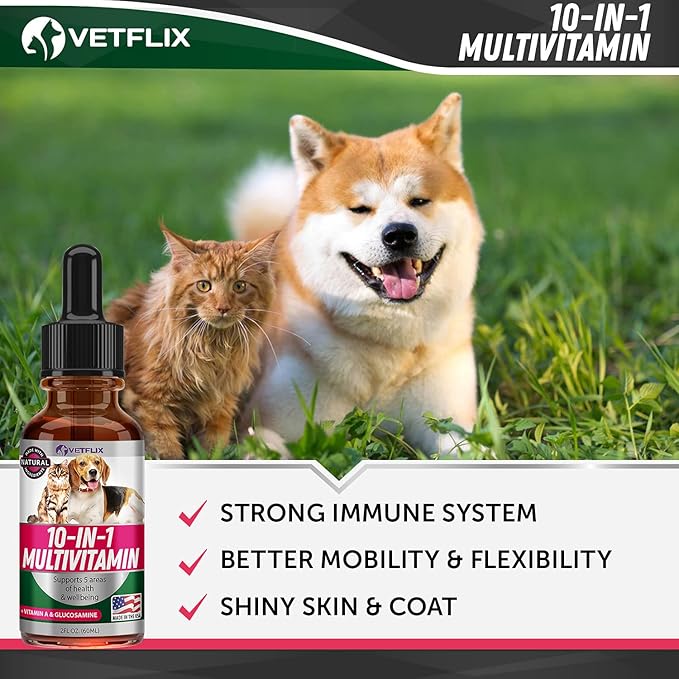 Pet Vitamins 10 in 1 - Made in USA - Glucosamine for Dogs &amp; Cats - Dog Supplement for Pet Joint Health - Natural Cat, Dog Multivitamin - All Ages &amp; Breeds - Folic Acid for Cats &amp; Dogs Immune - 2 Fl Oz