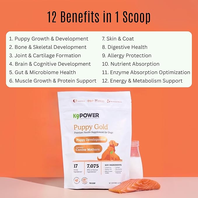 K9 Power Puppy Gold 1 lb - Supplement for Growing Puppies &amp; Nursing Mothers - Essential Nutrients for Healthy Growth &amp; Development - 45 Scoops