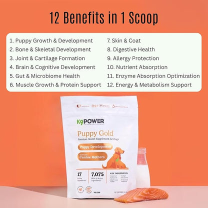 K9 Power Puppy Gold 1 lb - Supplement for Growing Puppies &amp; Nursing Mothers - Essential Nutrients for Healthy Growth &amp; Development - 45 Scoops