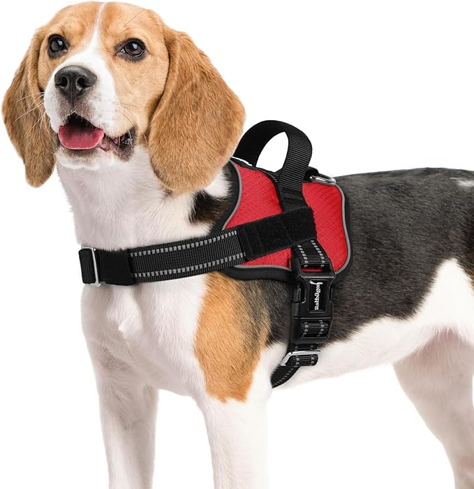 rabbitgoo Dog Harness Medium Sized, Easy On Pet Vest with One Buckle, No Pull Adjustable Service Harness with D-Ring &amp; Handle, Reflective for Safety Walking, Training, Red, M