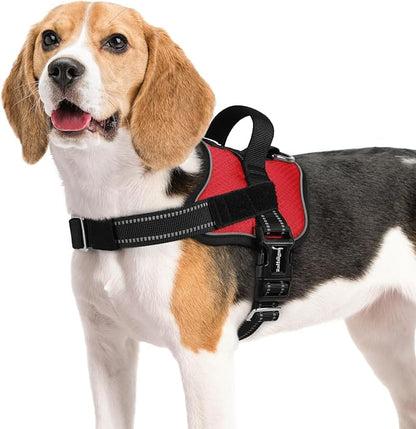 rabbitgoo Dog Harness Medium Sized, Easy On Pet Vest with One Buckle, No Pull Adjustable Service Harness with D-Ring &amp; Handle, Reflective for Safety Walking, Training, Red, M