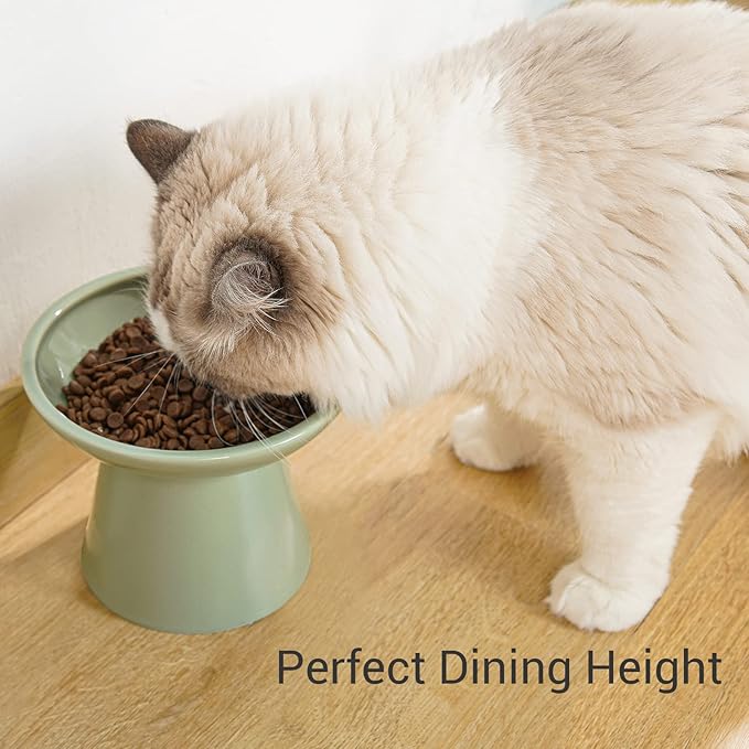 Extra Wide Elevated Ceramic Cat Food Bowl - 6.2" Shallow Dish for Whisker Fatigue Relief, 5" Height for Easy Feeding, Lead &amp; Cadmium Free, Durable Raised Cat Food Bowls, Sage Green