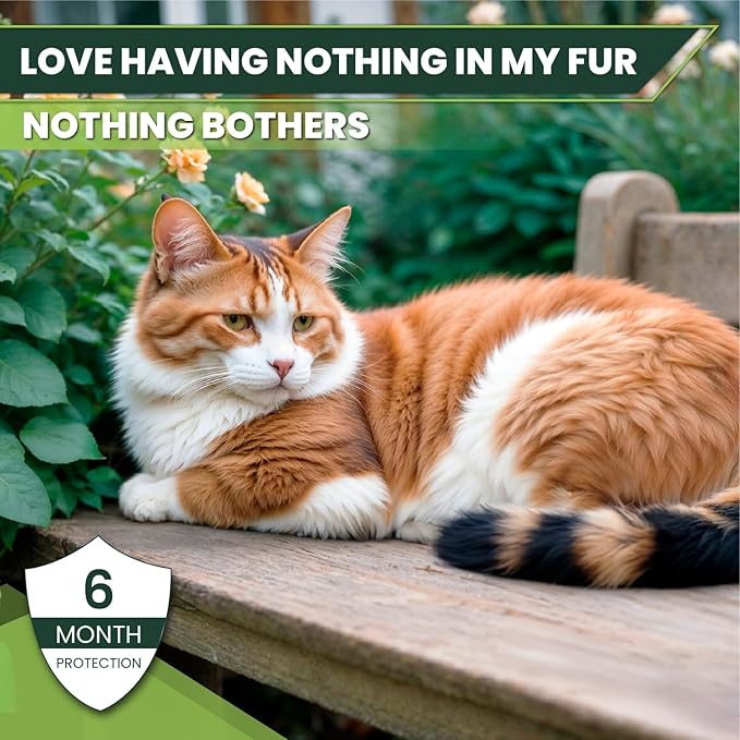Flea and Tick Prevention for Cats: Flea &amp; Tick Topical for Cats Over 1.5lbs, 6 Dose Flea and Tick Control/Prevention for 6 Months (6 Pack)