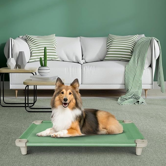 Acrimet Cooling Elevated Pet Dog Bed, Washable and Breathable Mesh Cot, Stainless Steel Frame, Indoor &amp; Outdoor Use, fits Dogs up to 110 lbs (Size: 40” x 24”), Green, 1 Unit