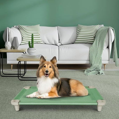 Acrimet Cooling Elevated Pet Dog Bed, Washable and Breathable Mesh Cot, Stainless Steel Frame, Indoor &amp; Outdoor Use, fits Dogs up to 110 lbs (Size: 40” x 24”), Green, 1 Unit