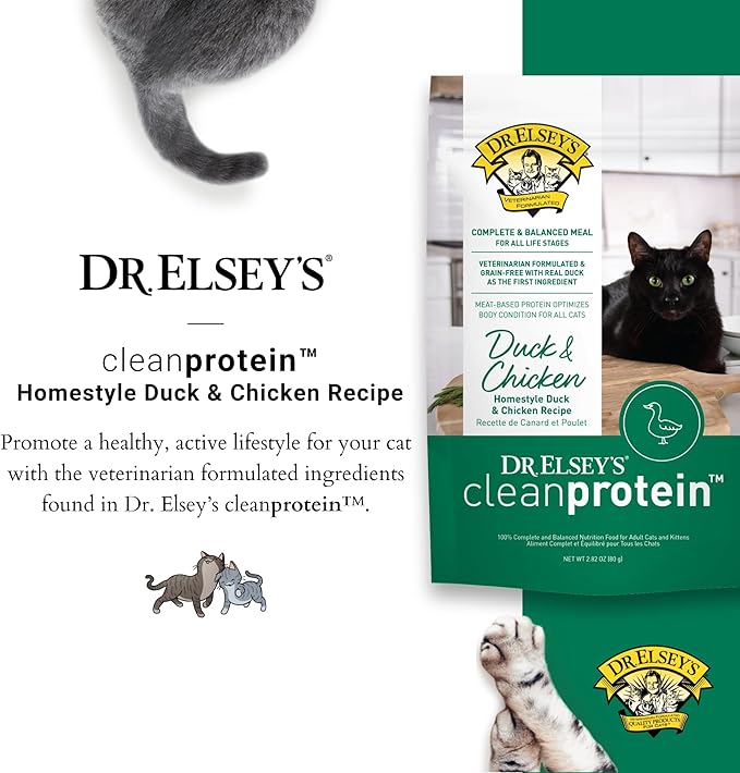Dr. Elsey&