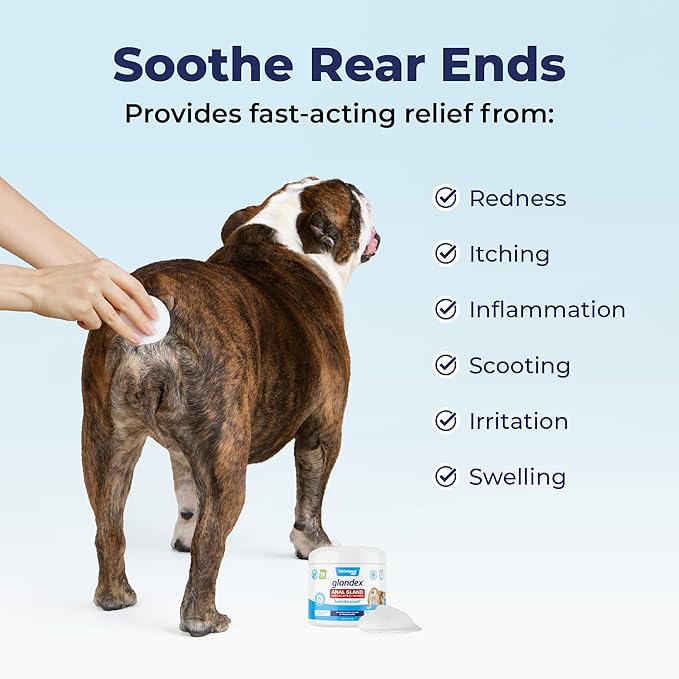 Vetnique Glandex Medicated Dog Butt Wipes or Spray for Dog Scooting - Topical Anti Itch Skin Relief for Soothing Inflamed Anal Glands in Dogs &amp; Cats - Fast Acting Formula 50ct (50ct Wipes)