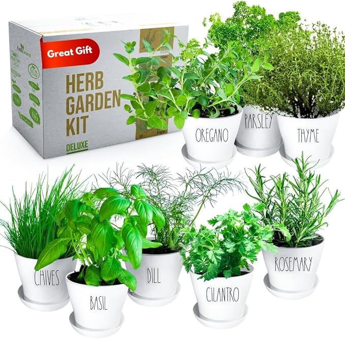 Deluxe Indoor &amp; Outdoor Herb Garden Kit – 8 or The Most Popular Culinary Herbs with Pots &amp; Soil for Windowsill or Patio Growing