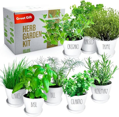 Deluxe Indoor &amp; Outdoor Herb Garden Kit – 8 or The Most Popular Culinary Herbs with Pots &amp; Soil for Windowsill or Patio Growing