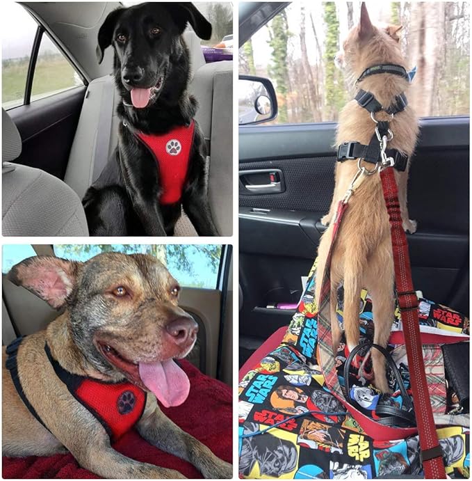 SlowTon Dog Seat Belt Harness for Car, Dog Car Harness Adjustable Mesh Breathable &amp; Dog Seatbelt Safety Tether with Elastic Bungee for Small Medium Large Pets(Red Seatbelt, Single Clip, XXXS)