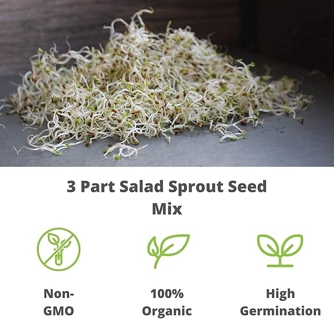 Handy Pantry Organic Birdseed - 1 Lb - Sprouting Bird Seed Mix for Small, Medium &amp; Large Birds- Feed for Songbirds, Parakeets, Parrots, etc