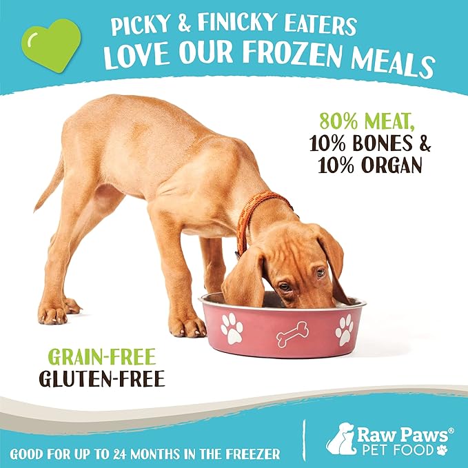 Raw Paws Signature Blend Pet Food for Dogs &amp; Cats - Beef Recipe, 1-lb Rolls (10 Pack) - Fresh Pet Food Made in USA, Grass-Fed Beef Log, Natural Dog Food Rolls, Raw Frozen Dog Food &amp; Cat Food