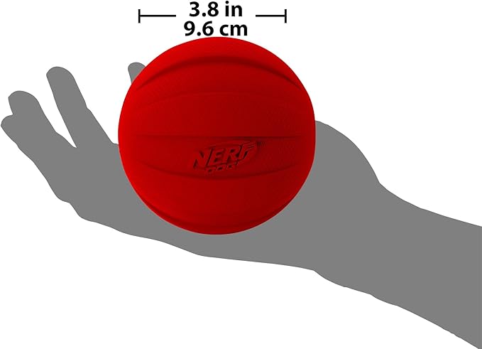 Nerf Dog Classic Squeak Ball Outdoor Dog Toys, 3.8 Inch Dog Ball Fetch Toy, Squeaking Toy for Medium and Large Breeds, Green/Red, 2 Count