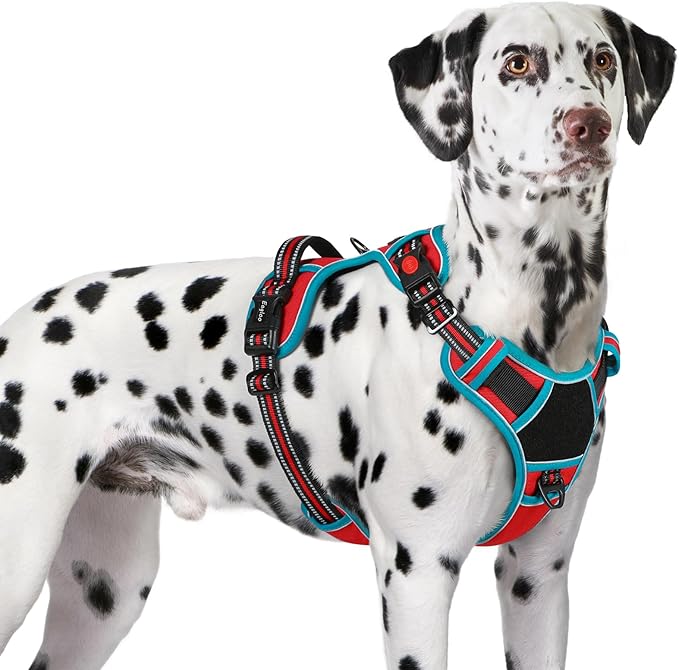 Eagloo Dog Harness for Large Dogs, Easy Wearing with 3 Buckles, Adjustable No Pull Pet Harness with 2 Rings for Walking, No Chock Reflective Soft Padded Vest with Control Handle, Red &amp; Teal, XL