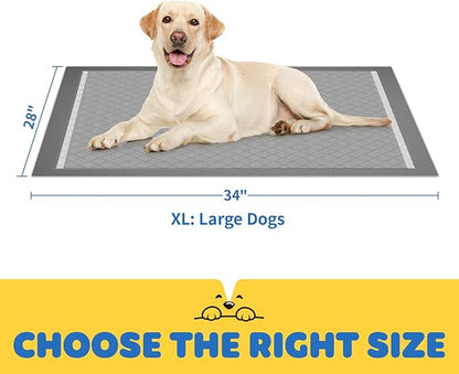 100-Pack X-Large Puppy Pads - 34&