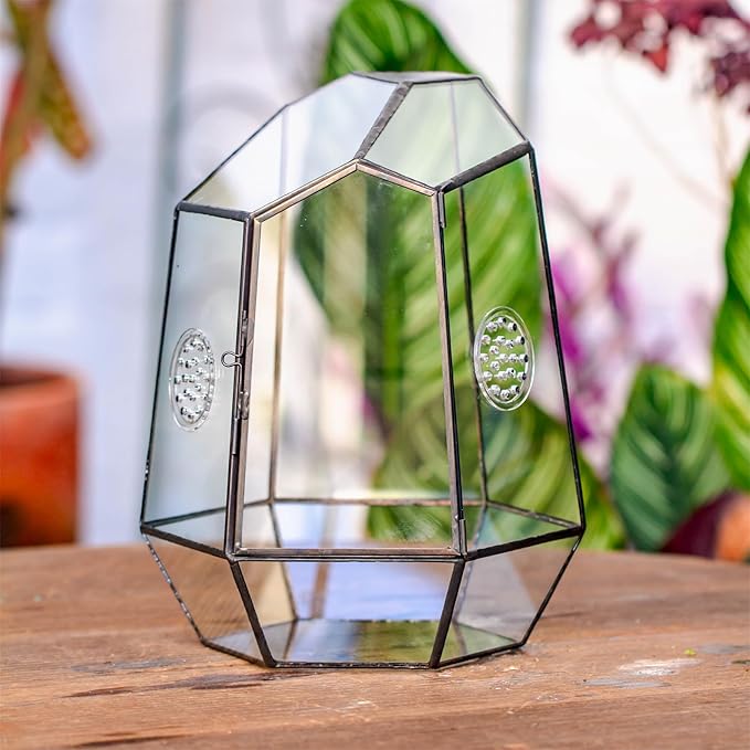 NCYP Closed Geometric Glass Enclosure with Front Opening Door &amp; 2 Vent Holes for Insects, Succulent, Cacti - 7.9"x6.9"x9.8" Black Irregular Terrarium Planter - Home Garden Tabletop Decor (No Plants)