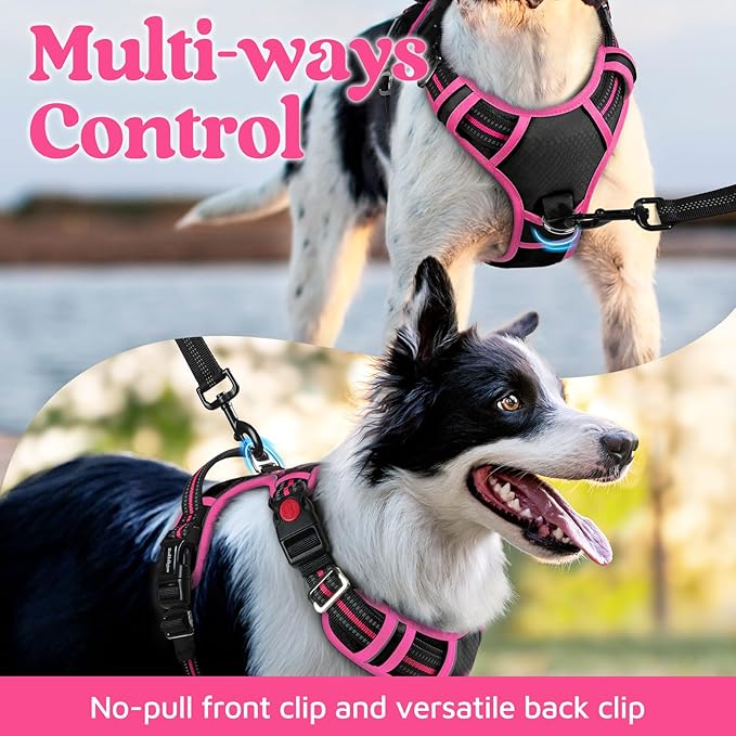 rabbitgoo Dog Harness for Large Dogs, No Pull Pet Vest with 3 Buckles, Adjustable Soft Padded Pet Harness with Easy Control Handle and Reflective Strips, Black &amp; Rose Pink, XL