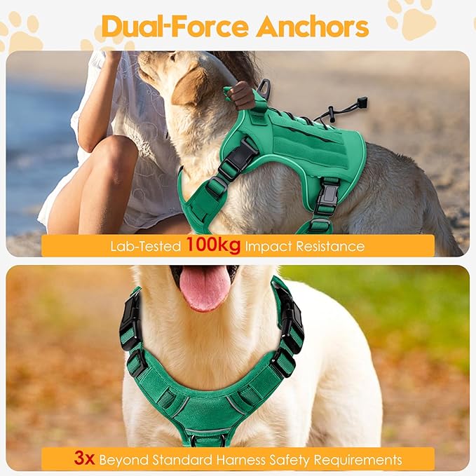 Heavy-Duty Tactical Dog Harness for Large Dogs, No Pull Adjustable Reflective Pet Vest with Molle System, K9 Military-Grade Control for Service Training, Outdoor &amp; 10+ Breeds, Turquoise, Large