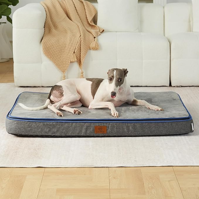 Memory Foam Large Dog Bed - 4” Thick Orthopedic Beds for Large Dogs - Waterproof Dog Bed with Removable Washable Cover &amp; Wrap-Around Zipper - Ultimate Comfort and Easy Maintenance