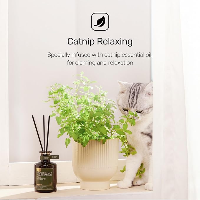 Reed Diffuser for Pet Odor Elimination, Lily of The Valley, Non-Toxic &amp; Pet-Friendly Air Freshening, 6 Oz