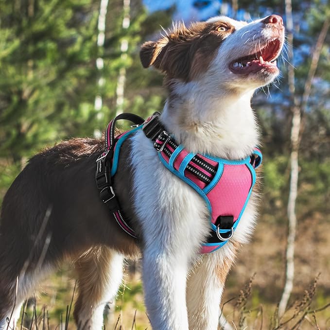 rabbitgoo Dog Harness Medium Sized, No Pull Dog Vest with 3 Buckles, Adjustable Soft Padded Pet Harness with Easy Control Handle and Reflective Strips, Rose Pink &amp; Blue, M
