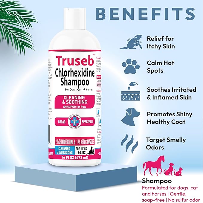 Truseb Topical Ketoconazole and Chlorhexidine Shampoo for Dogs, Cats, and Horses with Aloe - 16 oz (Ketoconazole &amp; Chlorhexidine Shampoo, 16 oz)
