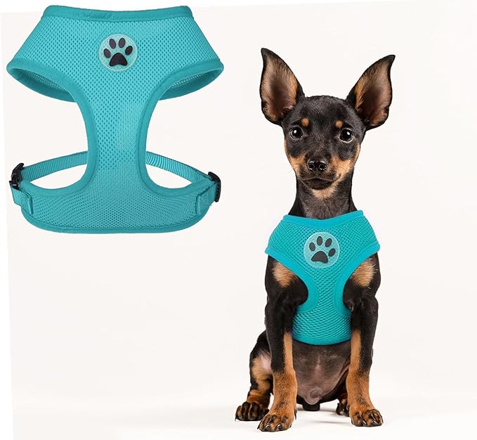 BINGPET No Pull Dog Harness,All Weather Mesh Step-in Vest Harness for Small Dogs,Breathable Mesh Puppy &amp; Cat Harness
