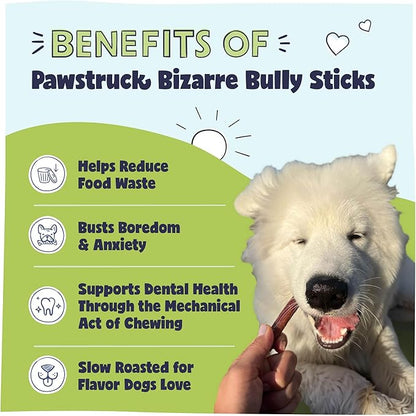 Pawstruck Natural Bizarre Bully Sticks Bargain Bag for Dogs &amp; Puppies - Variety Pack of 8-12" Long Lasting Eco-Conscious Beef Chew Treats - 1 lb. Bag - Packaging May Vary
