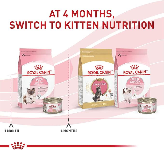 Royal Canin Feline Health Nutrition Mother &amp; Babycat Ultra Soft Mousse in Sauce Canned Cat Food, 5.1 oz., Case of 24, 24 X 5.1 OZ