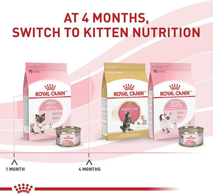 Royal Canin Feline Health Nutrition Mother &amp; Babycat Ultra Soft Mousse in Sauce Canned Cat Food, 5.1 oz., Case of 24, 24 X 5.1 OZ