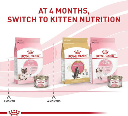 Royal Canin Feline Health Nutrition Mother &amp; Babycat Ultra Soft Mousse in Sauce Wet Canned Cat Food, Supports Healthy Digestion and Brain Development, 3 oz, 6 Pack