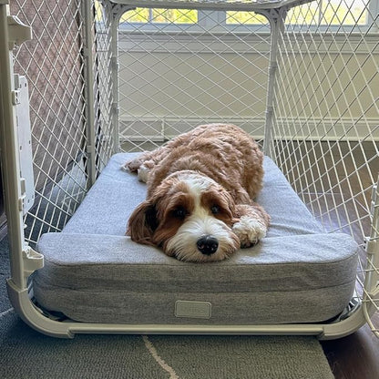 Diggs Bolstr Orthopedic Dog Bed with Headrest - Dog Crate Bed for Evolv Crate &amp; Other Standard Pet Kennels - Durable &amp; Comfortable - (Medium)