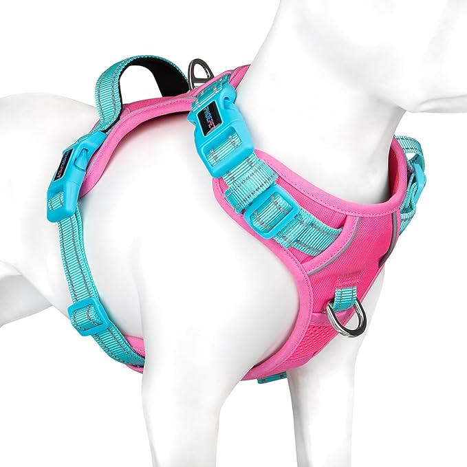 PHOEPET No Pull Dog Harness, Unique Colors Reflective Adjustable Dog Vest, with Soft Training Handle Metal Clips for Small Medium Large Dogs (Pink Base &amp; Green Straps,XS)