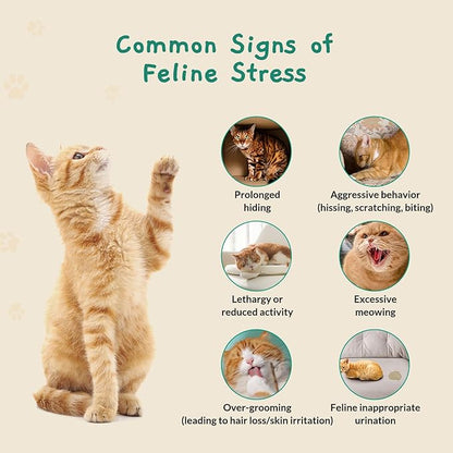 Cat Calming Diffuser – for Travel, Car &amp; Home Use, Pheromone Diffuser for Cats &amp; Kittens to Reduce Anxiety and Stress, No Electricity Needed, Long-Lasting Calming Support (2 Pack)