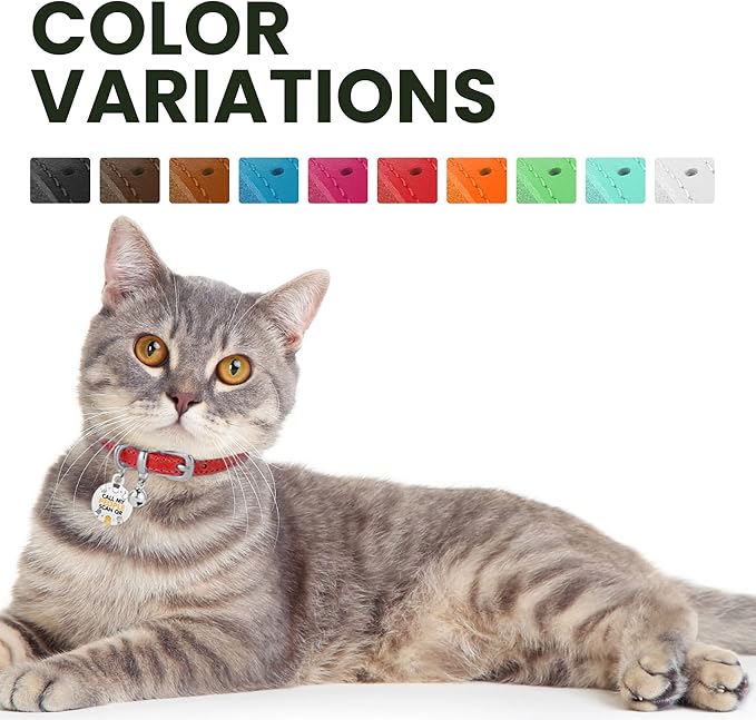 BRONZEDOG Leather Cat Collar with Removable Bells Non Breakaway Kitten QR Tag for Girl Boy (7" - 9" for Cats, Red &amp; Silver)