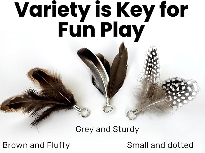 Feather Toys Replacements (3 Pc) - Cat Toys &amp; Kitten Toys for Indoor Kittens, Set of Replacement Feather Attachments Extra Small and Durable, for Cat Wands, Natural and Safe